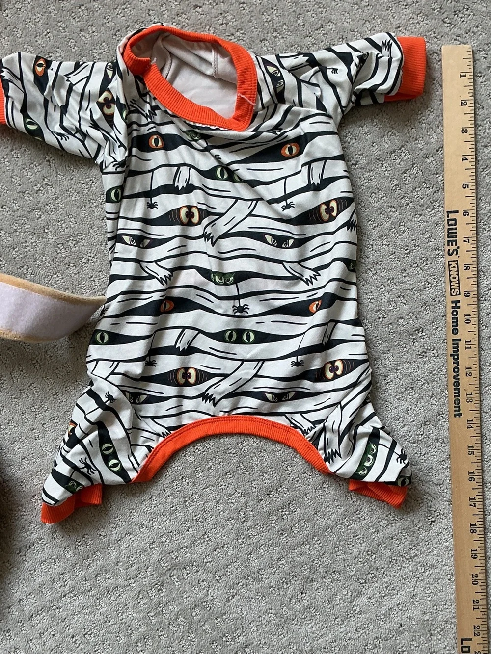 Dog Halloween costumes and socks -  Burger Costume and Zebra Print Pajamas, sock